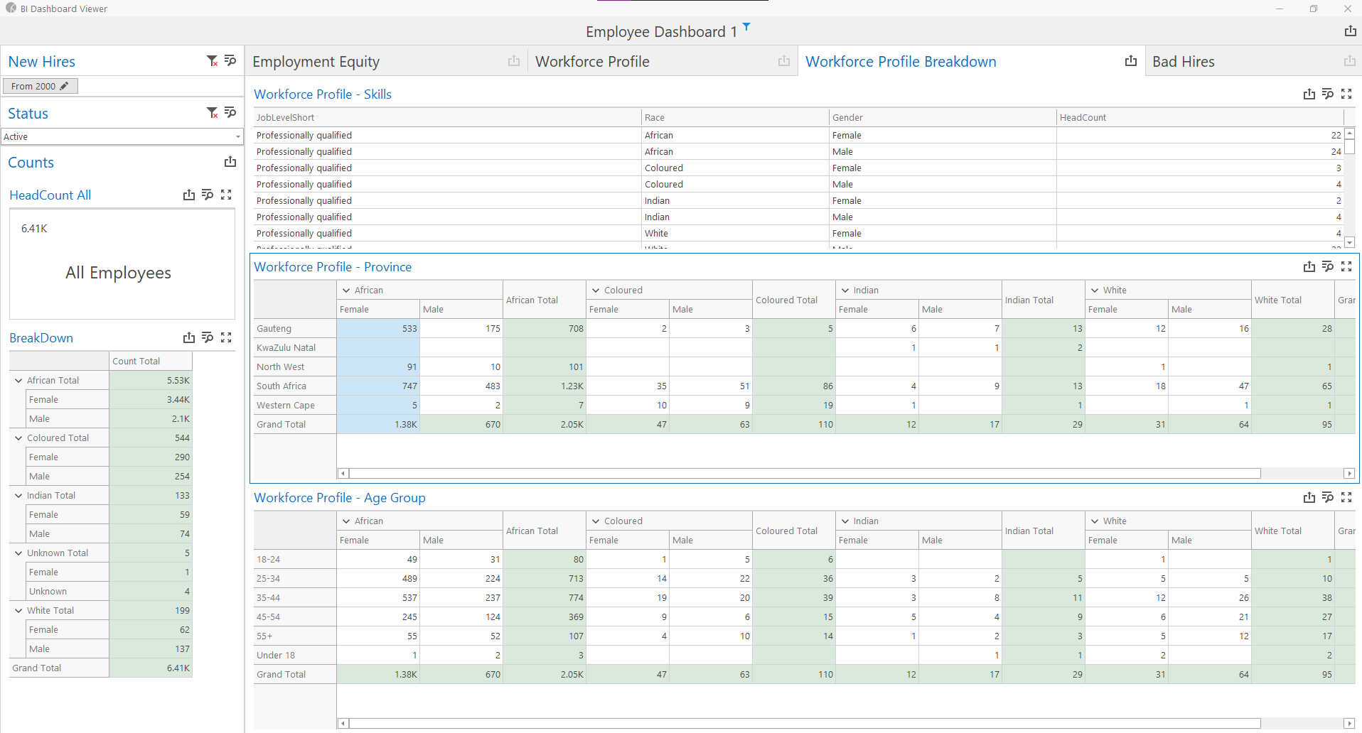 BI Workforce Profile Breakdown