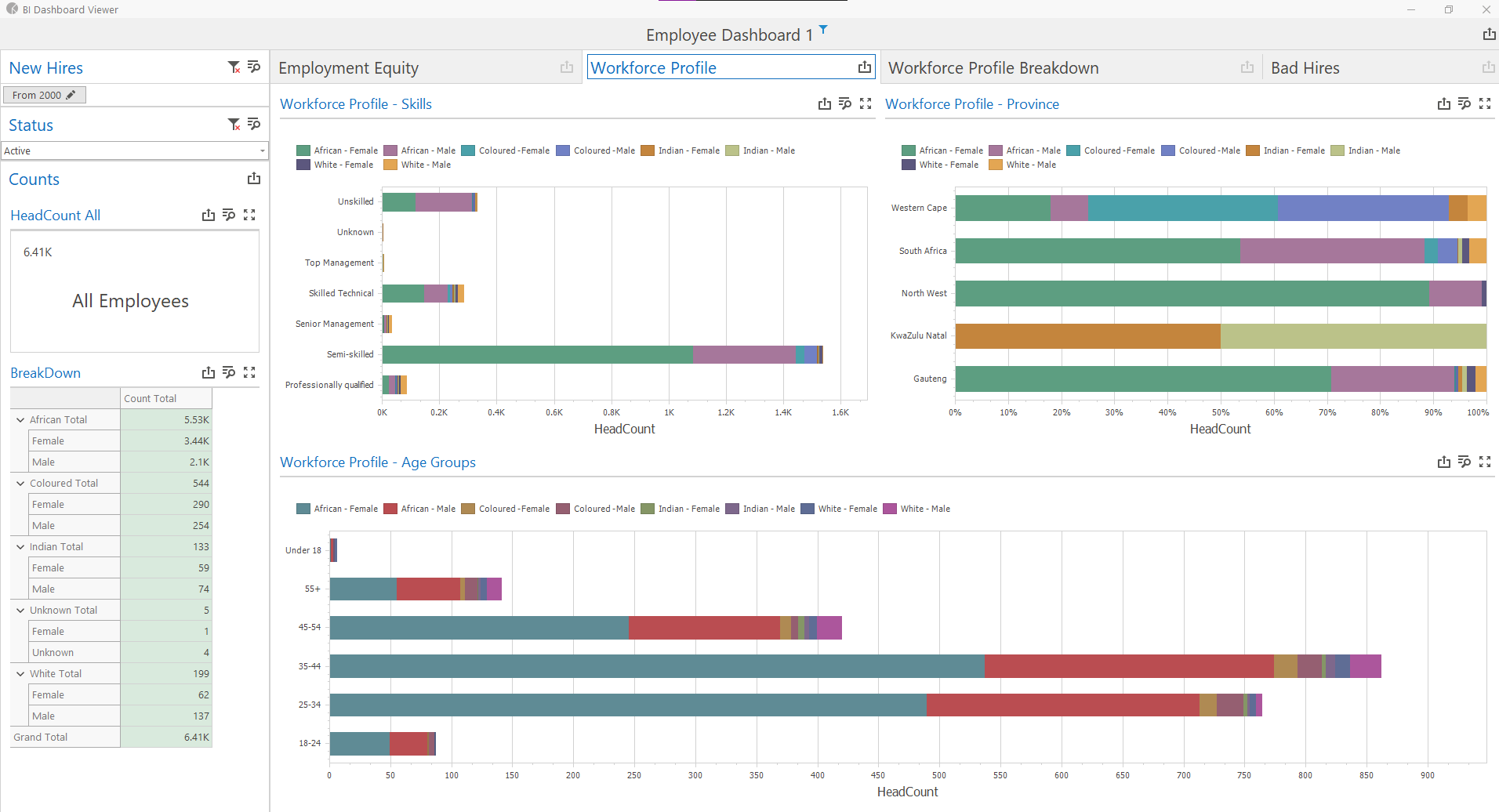 BI Workforce Profile